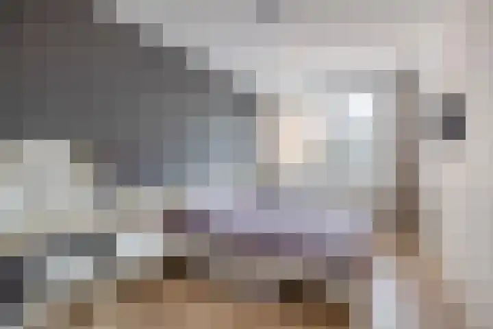Scholeksterstraat 66 Rozenburg thumbnail 20