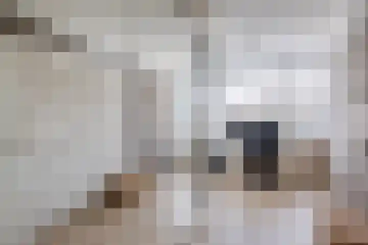 Scholeksterstraat 66 Rozenburg thumbnail 26
