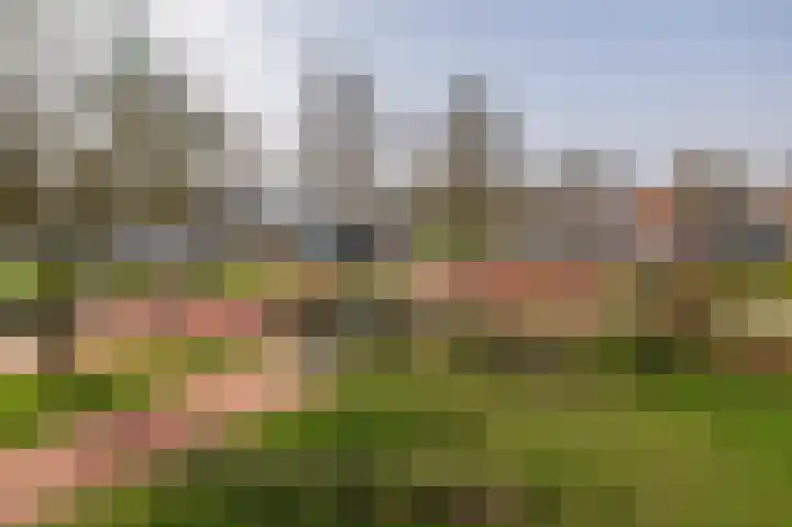 Scholeksterstraat 66 Rozenburg thumbnail 29