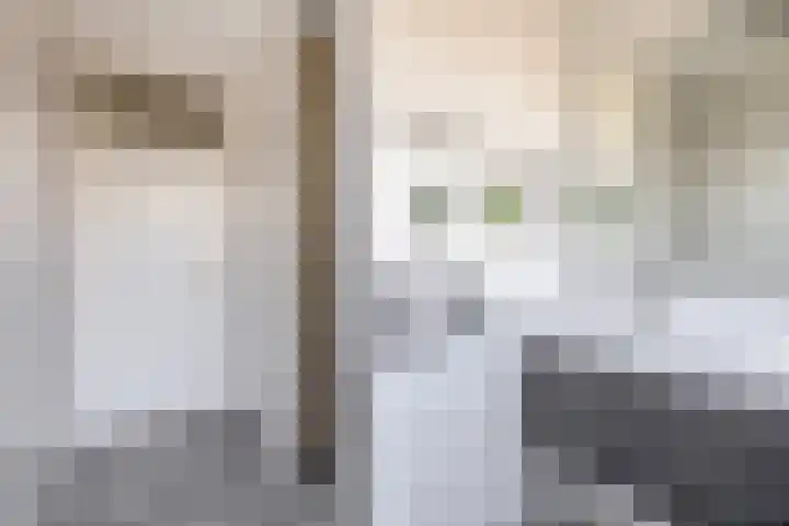 Scholeksterstraat 66 Rozenburg thumbnail 4