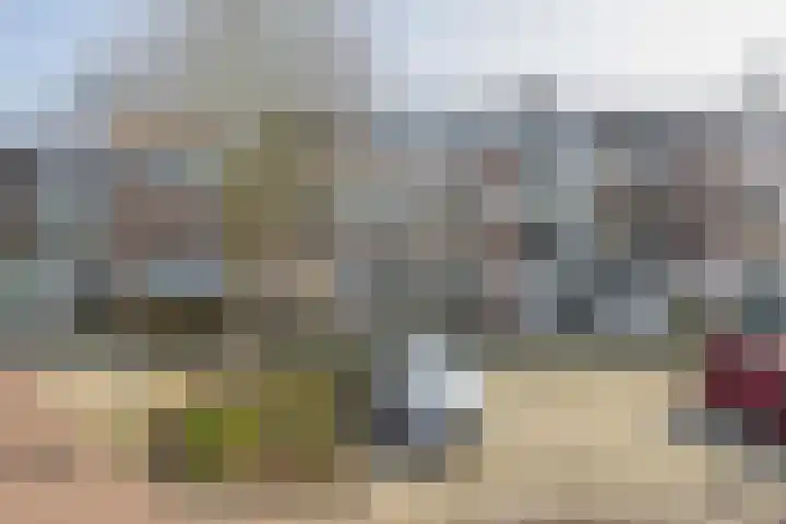 Scholeksterstraat 66 Rozenburg thumbnail 7