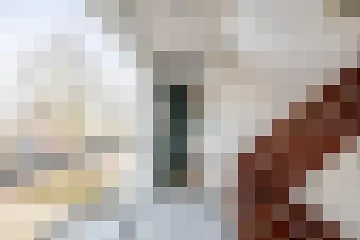 Scholeksterstraat 66 Rozenburg thumbnail 8
