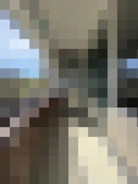 Scholeksterstraat 80 Rozenburg thumbnail 5