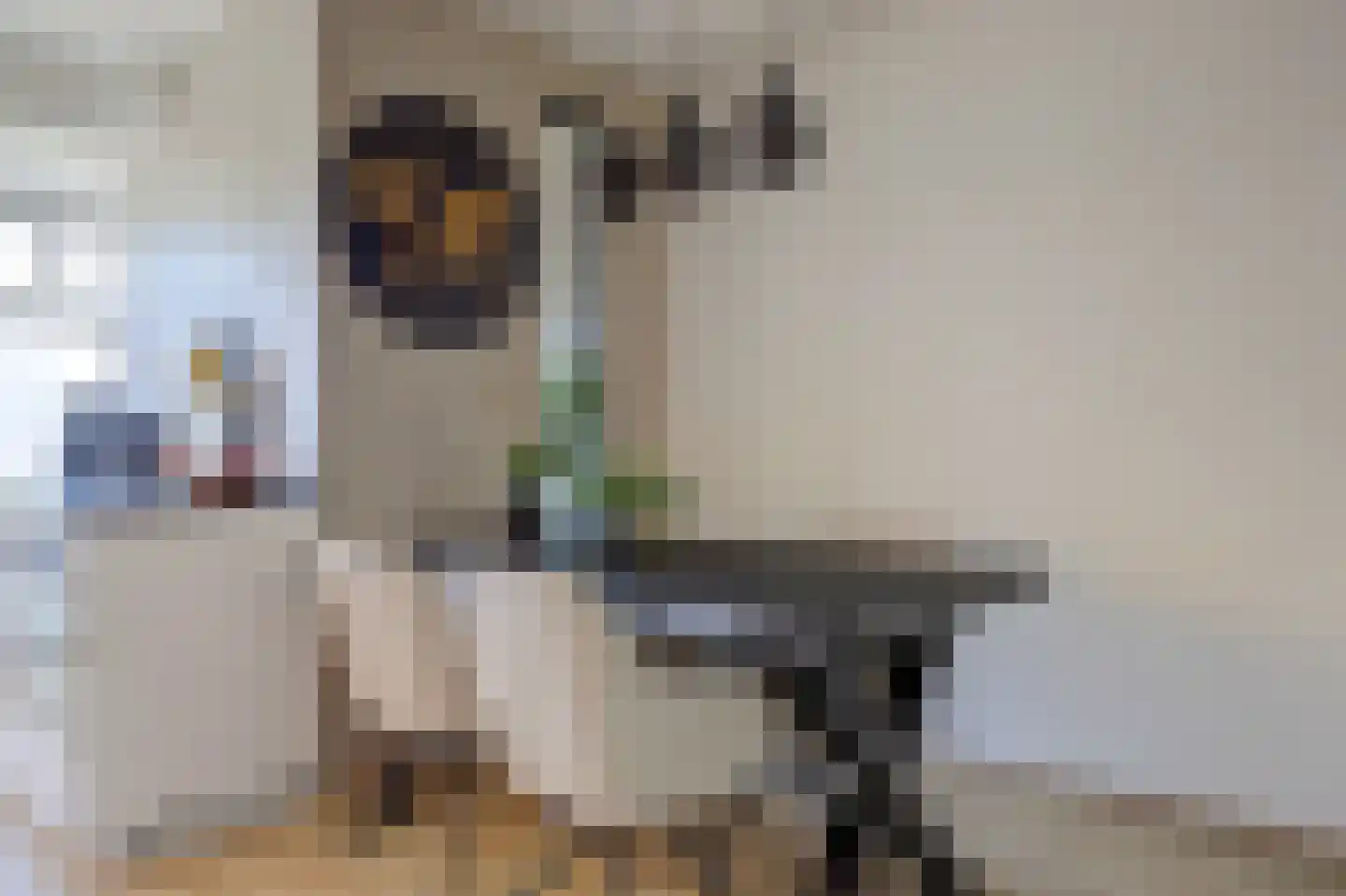 Scholeksterstraat 90 Rozenburg thumbnail 13
