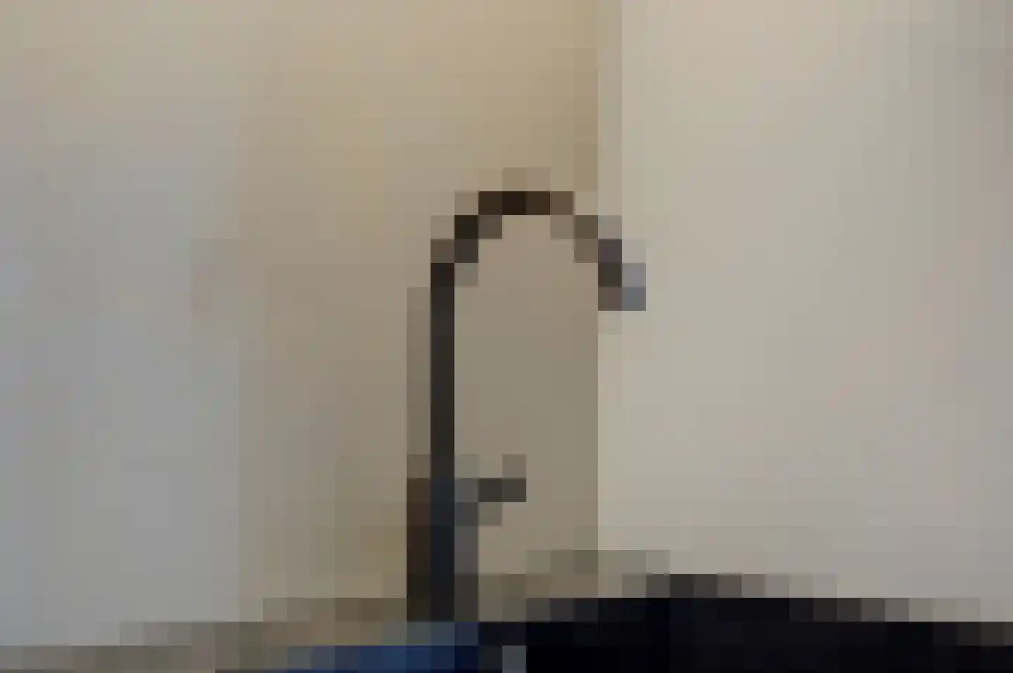 Scholeksterstraat 90 Rozenburg thumbnail 16
