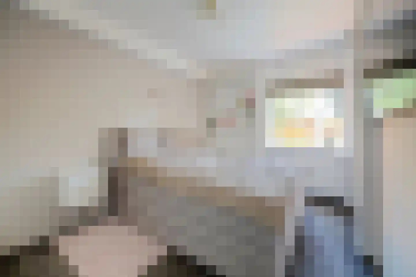 Scholeksterstraat 90 Rozenburg thumbnail 17