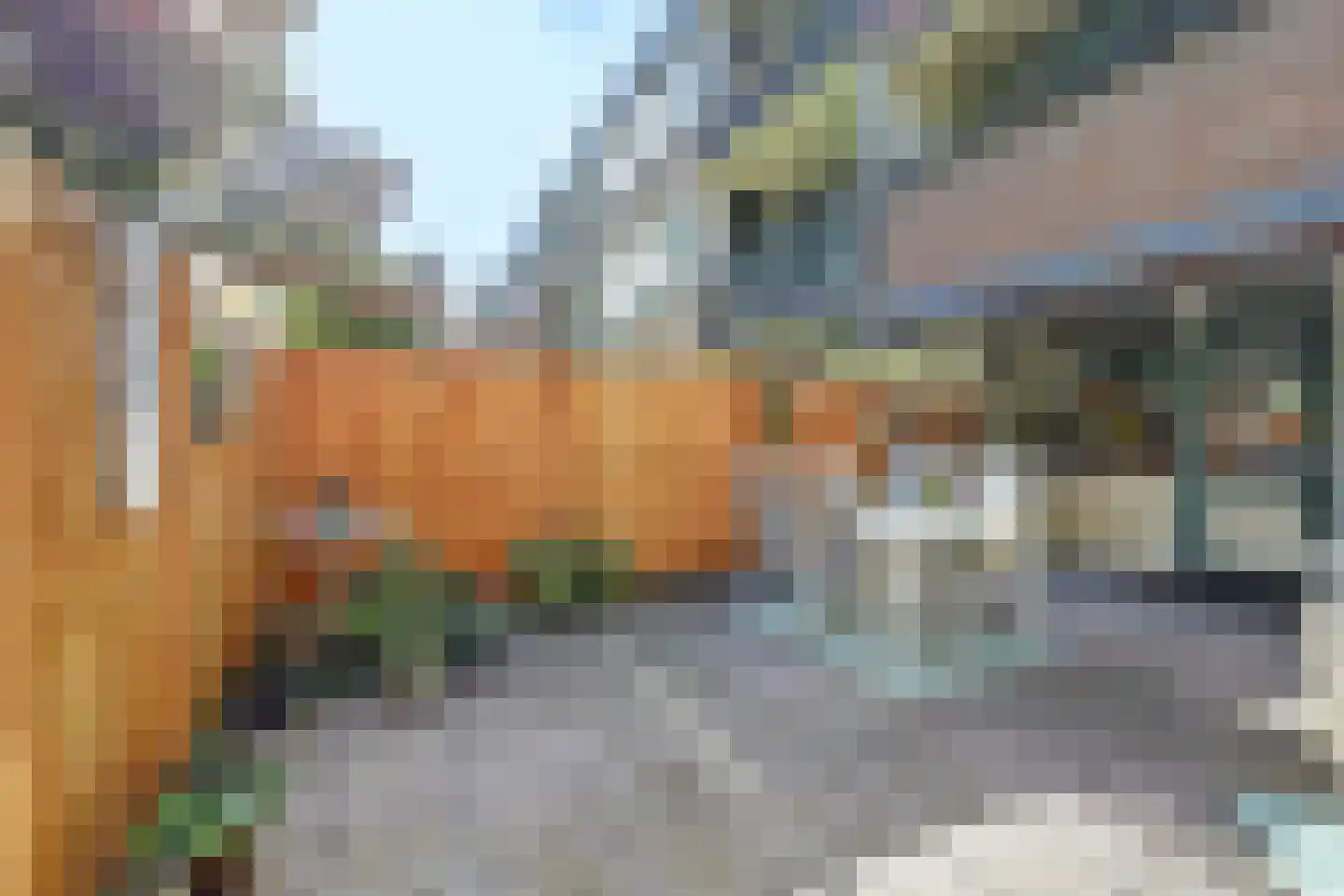 Scholeksterstraat 90 Rozenburg thumbnail 23