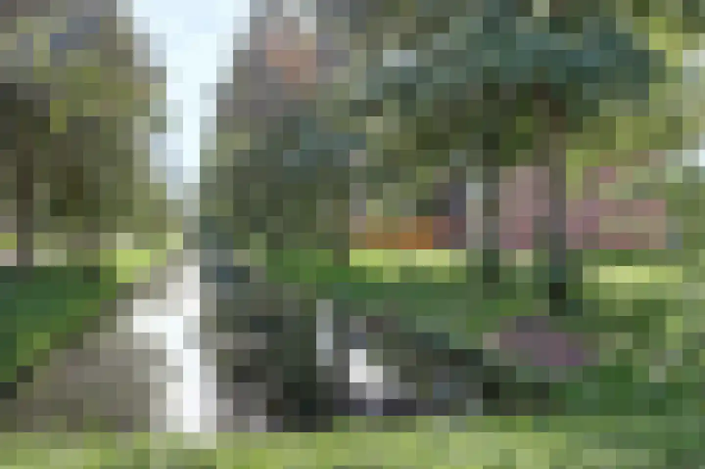 Scholeksterstraat 90 Rozenburg thumbnail 27