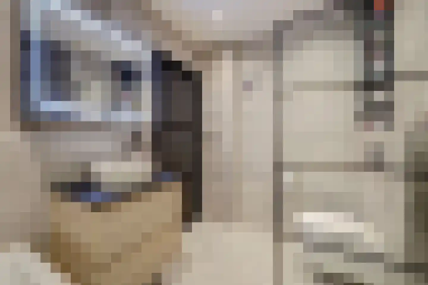 Scholeksterstraat 90 Rozenburg thumbnail 5