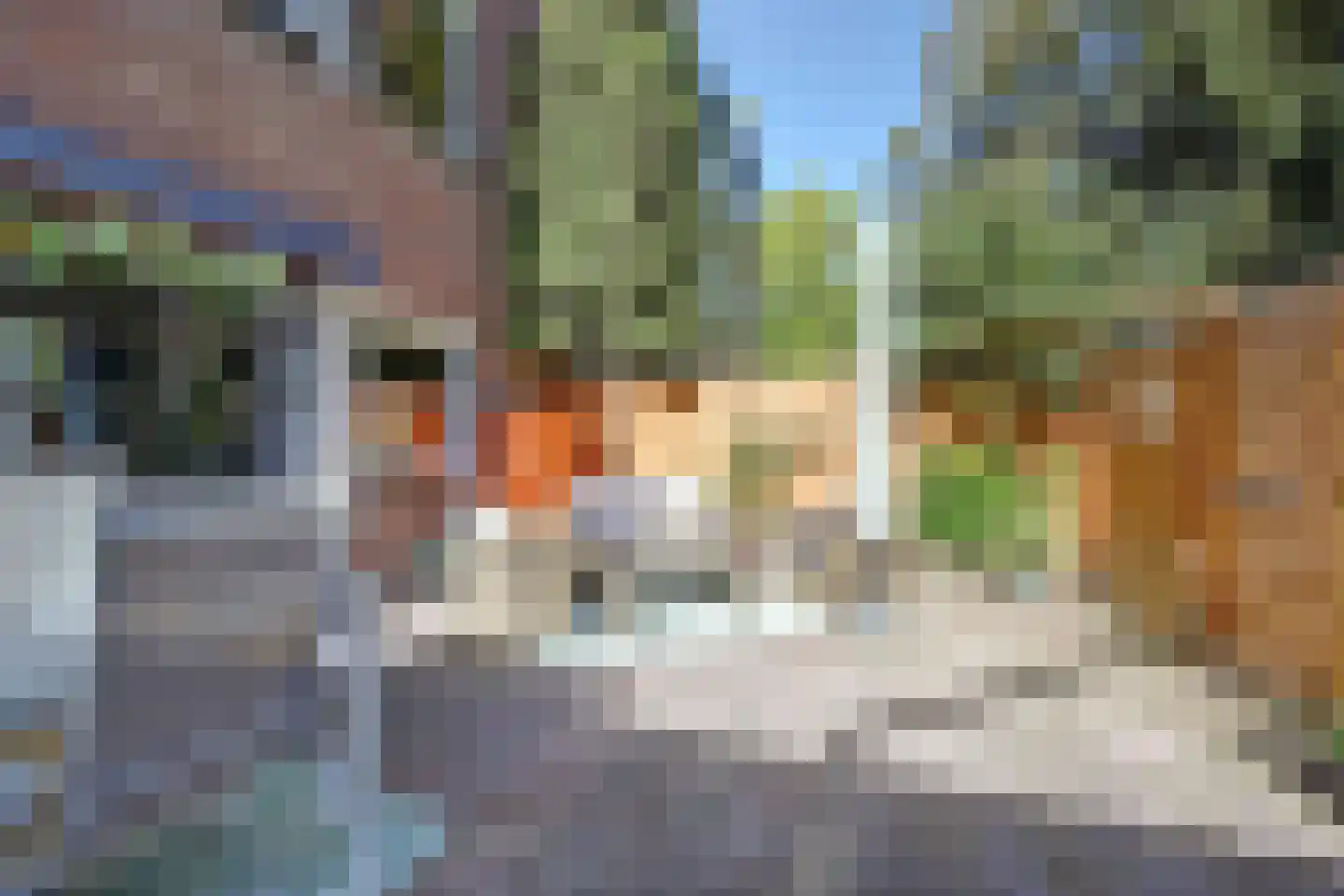 Scholeksterstraat 90 Rozenburg thumbnail 6