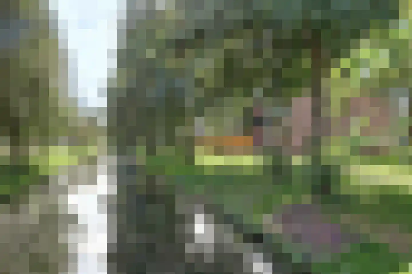 Scholeksterstraat 90 Rozenburg thumbnail 7