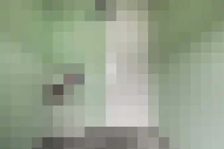 Scholeksterweide 46 Renswoude thumbnail 18