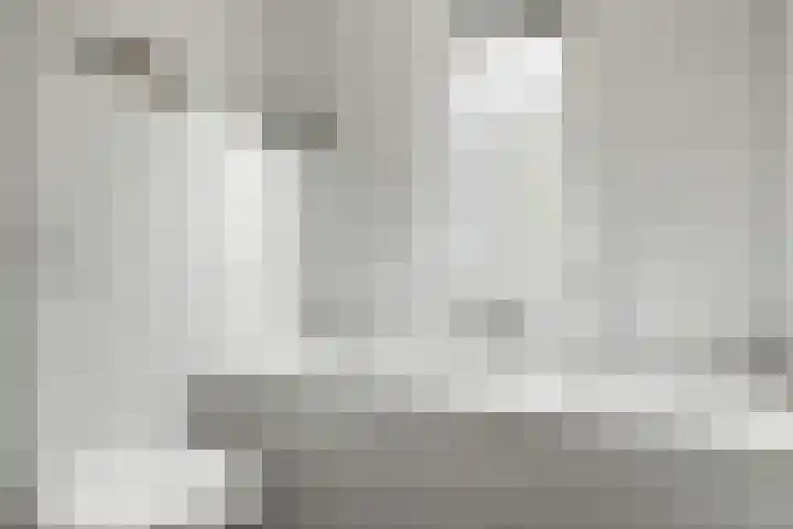 Scholeksterweide 46 Renswoude thumbnail 20
