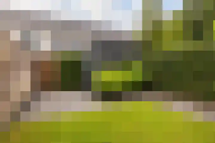 Scholeksterweide 46 Renswoude thumbnail 23