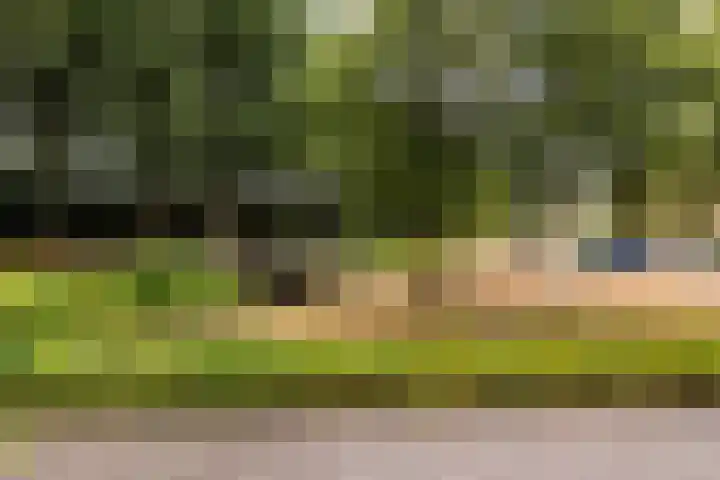Scholeksterweide 46 Renswoude thumbnail 27