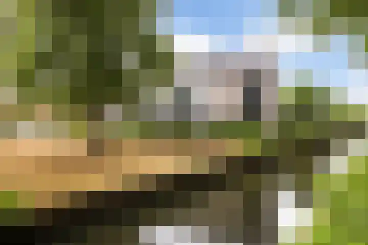 Scholeksterweide 46 Renswoude thumbnail 28