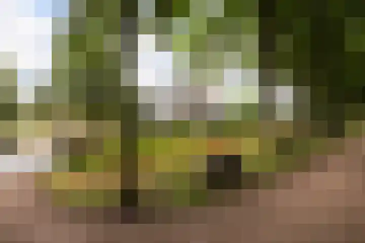 Scholeksterweide 46 Renswoude thumbnail 29