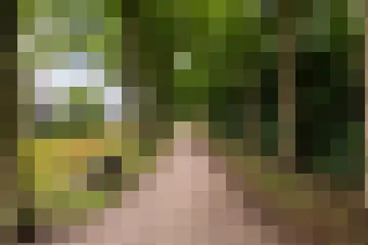 Scholeksterweide 46 Renswoude thumbnail 30