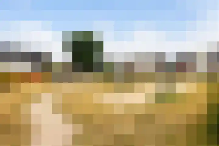 Scholeksterweide 46 Renswoude thumbnail 31
