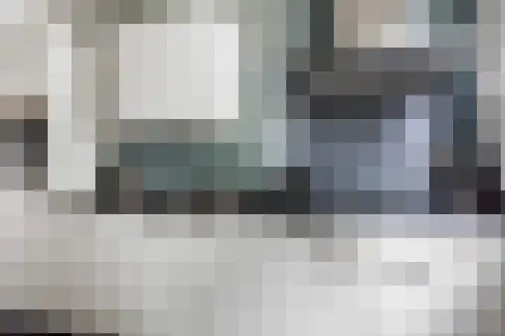 Scholeksterweide 46 Renswoude thumbnail 4