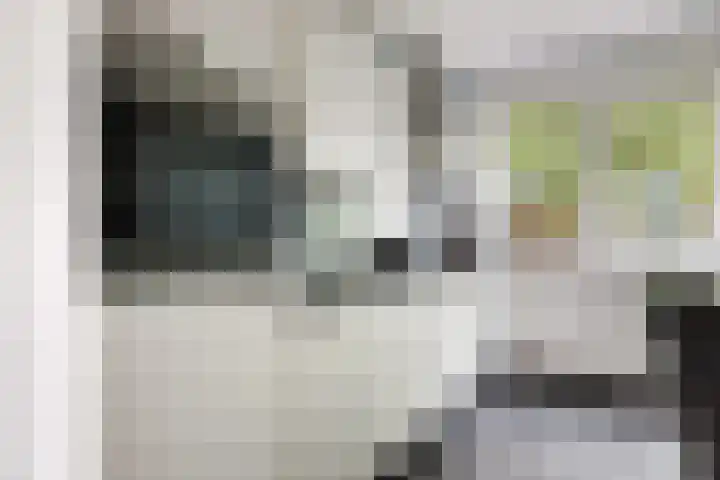 Scholeksterweide 46 Renswoude thumbnail 5