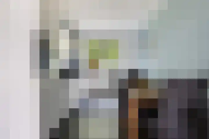 Scholeksterweide 46 Renswoude thumbnail 6