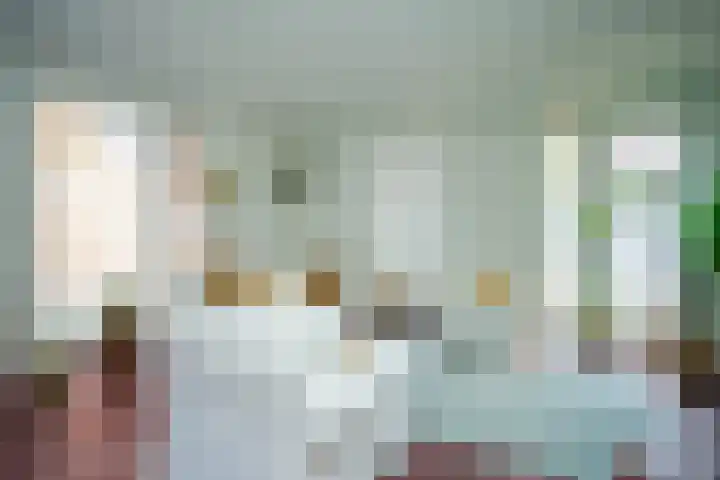 Scholenhof 1 Nijmegen thumbnail 10