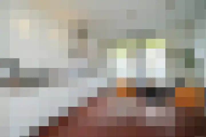 Scholenhof 1 Nijmegen thumbnail 13