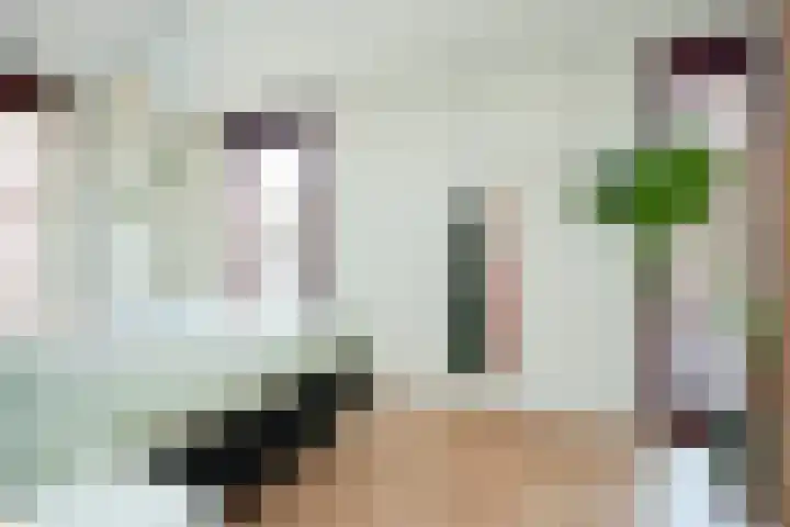 Scholenhof 1 Nijmegen thumbnail 23