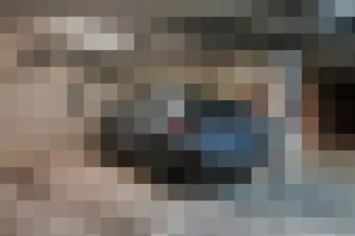Scholenhof 1 Nijmegen thumbnail 4