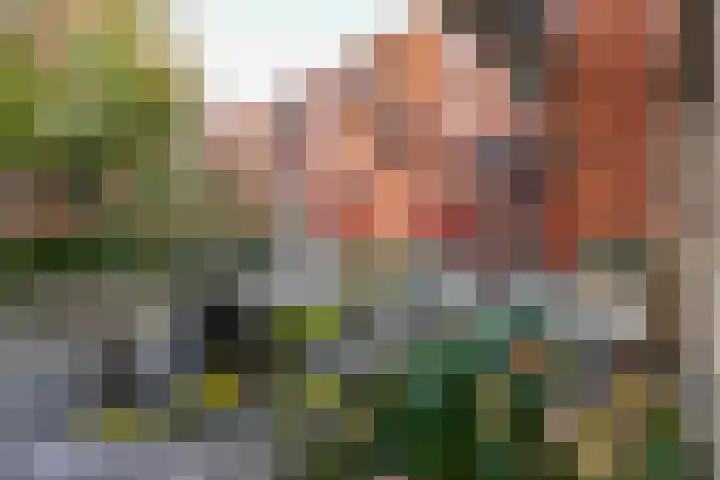 Scholenhof 1 Nijmegen thumbnail 8