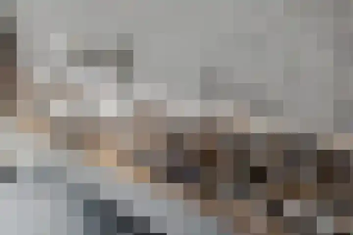 Scholenhof 51 Nijmegen thumbnail 21