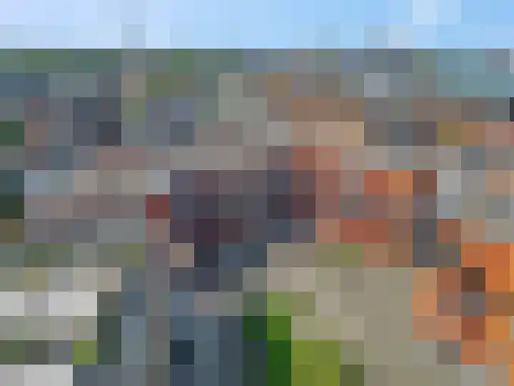 Scholenhof 51 Nijmegen thumbnail 30