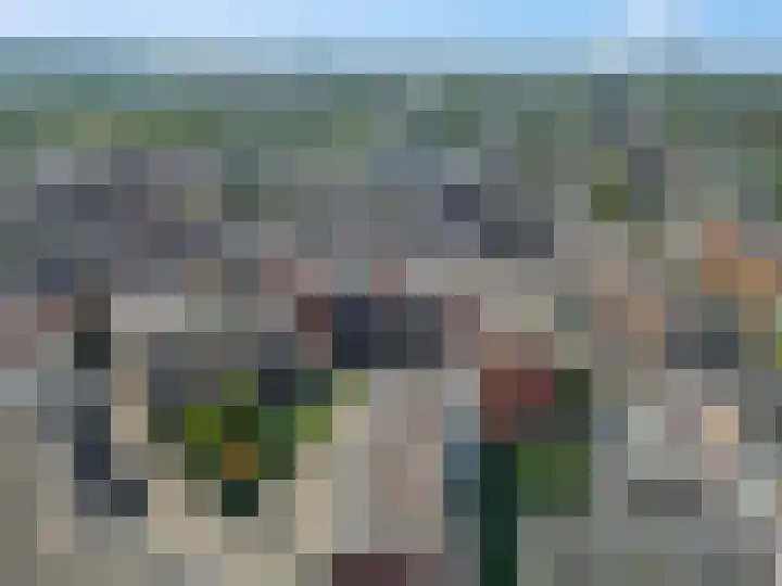 Scholenhof 51 Nijmegen thumbnail 36