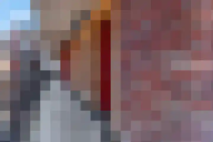 Scholenhof 51 Nijmegen thumbnail 7