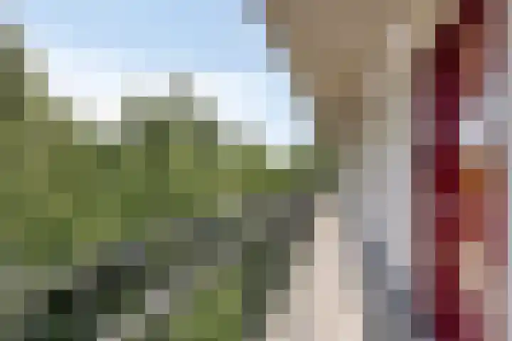 Scholenhof 59 Nijmegen thumbnail 11