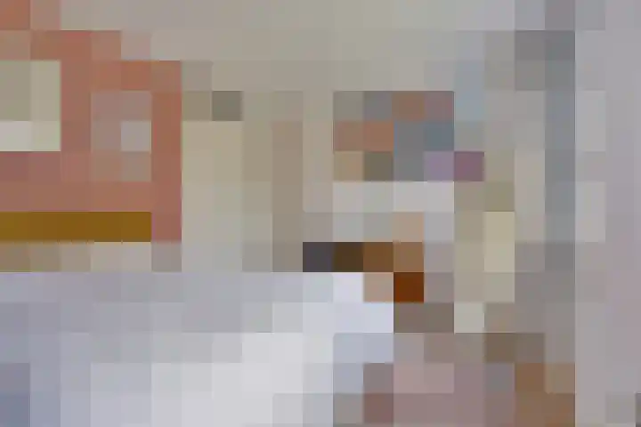 Scholenhof 81 Nijmegen thumbnail 17