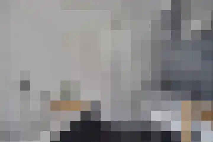 Scholenhof 81 Nijmegen thumbnail 18