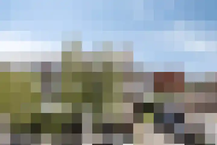 Scholenhof 81 Nijmegen thumbnail 23