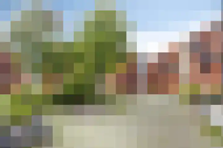 Scholenhof 81 Nijmegen thumbnail 24