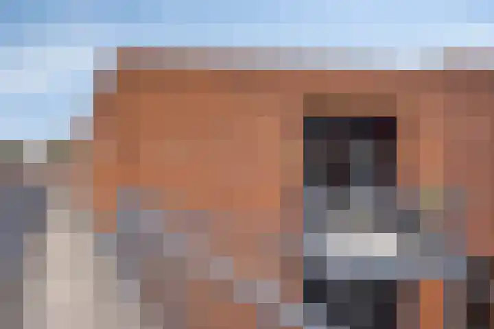 Scholenhof 81 Nijmegen thumbnail 27
