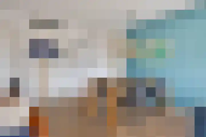 Scholenhof 81 Nijmegen thumbnail 4
