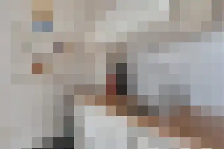 Scholenhof 81 Nijmegen thumbnail 8