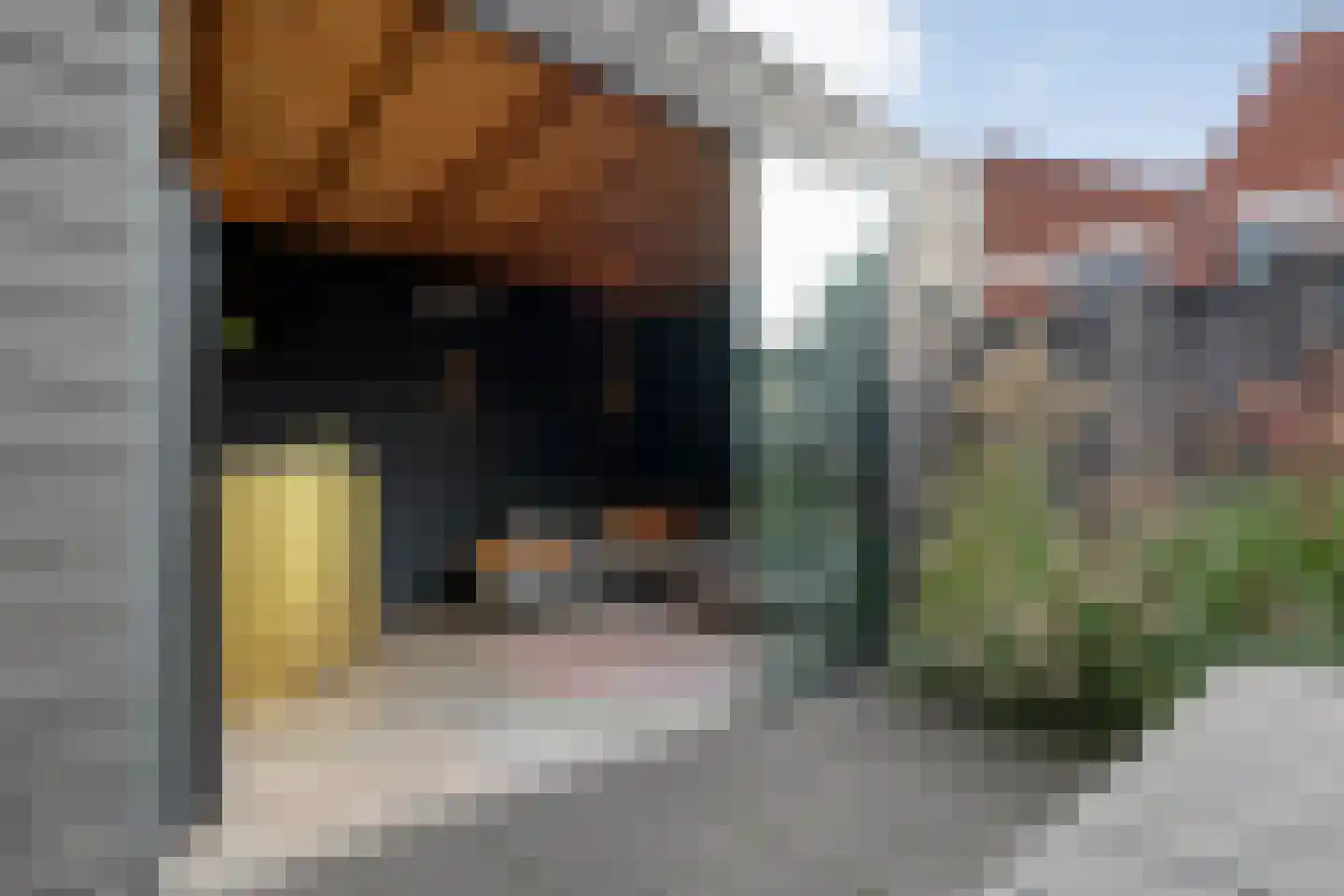 Scholl Engbertsstraat 14 Almelo thumbnail 35
