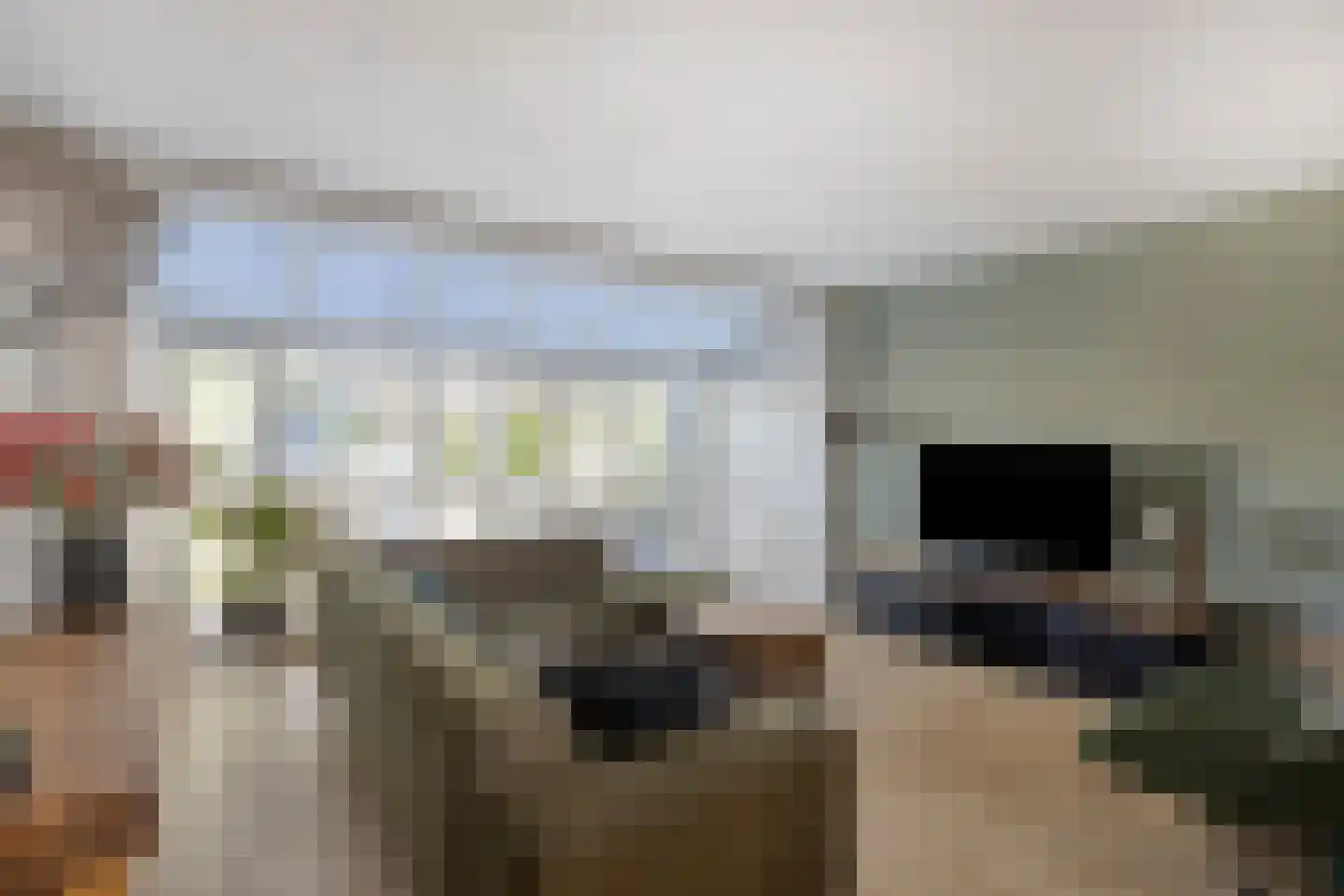 Schollaan 3 Helmond thumbnail 19