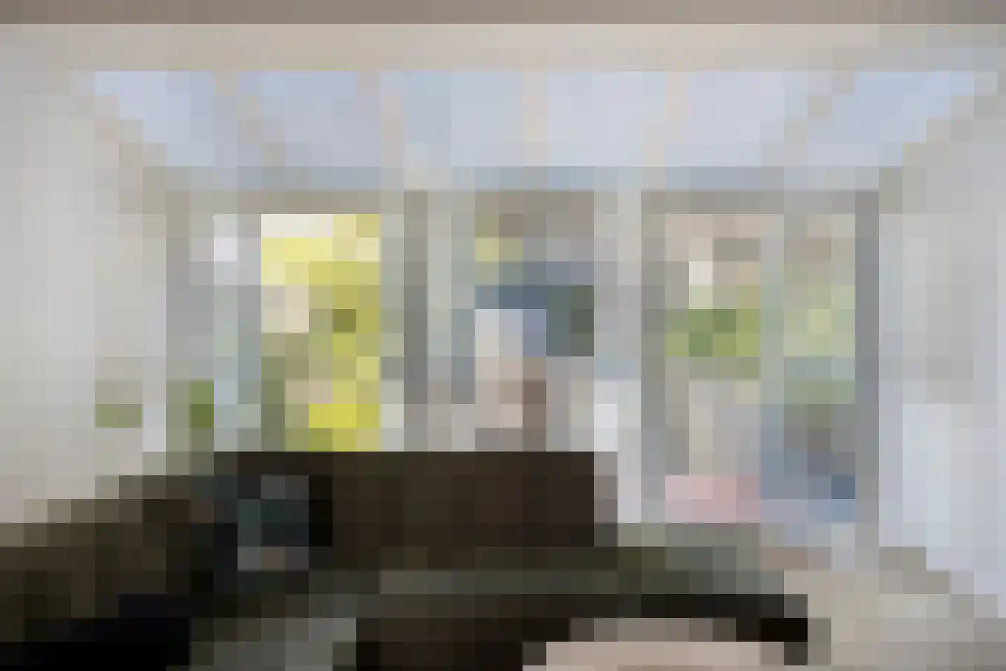 Schollaan 3 Helmond thumbnail 21