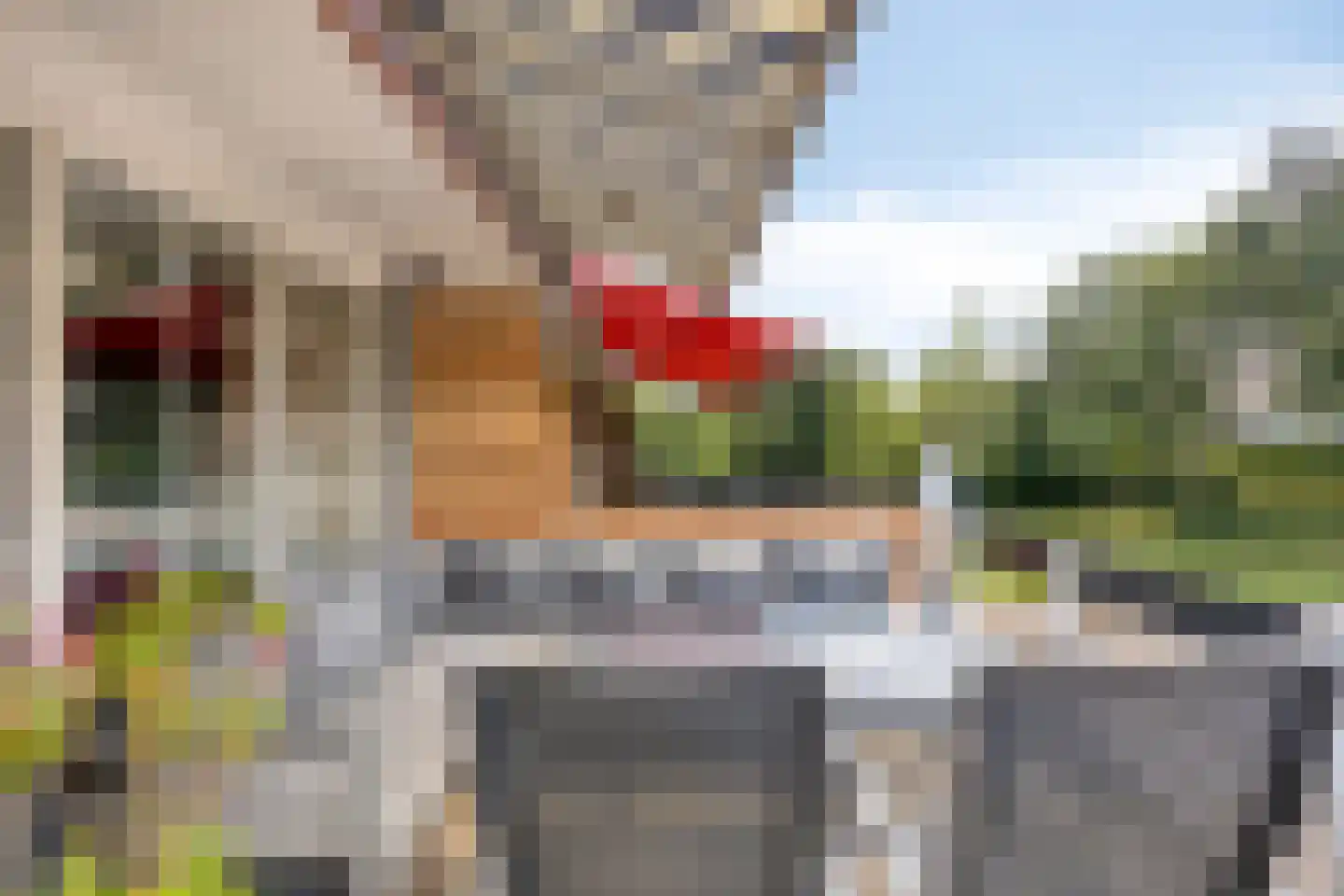Schollaan 3 Helmond thumbnail 27