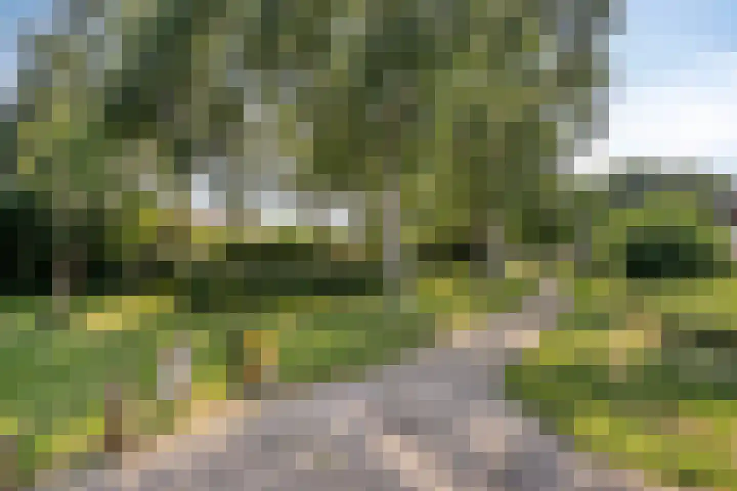 Schollaan 3 Helmond thumbnail 44