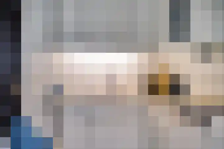 Schollaan 6 Helmond thumbnail 23
