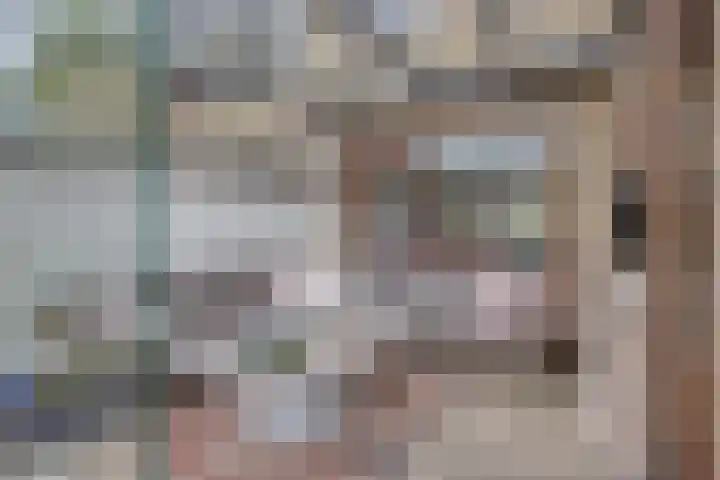 Schollaan 6 Helmond thumbnail 4